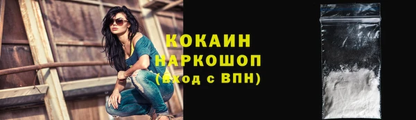 трава Осинники
