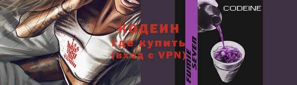 гидра Няндома