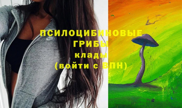 индика Остров