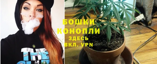 трава Осинники