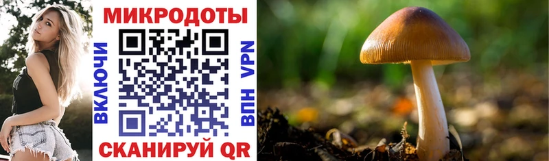 Галлюциногенные грибы Magic Shrooms  Купить где  Киреевск 