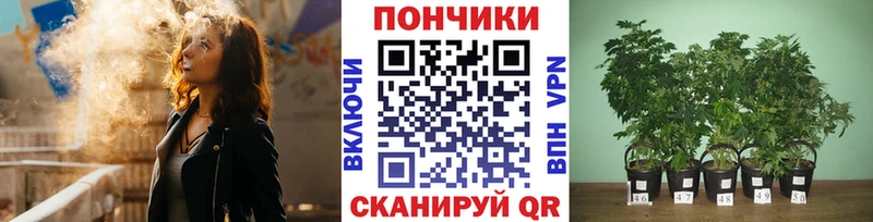 Купить закладки  Киреевск  Конопля Amnesia 